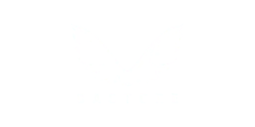 Castore