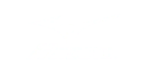 Mizuno