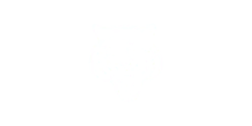 Onitsuka Tiger