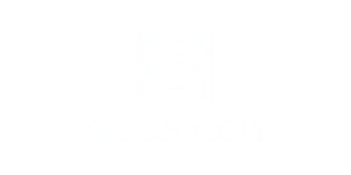 Salomon
