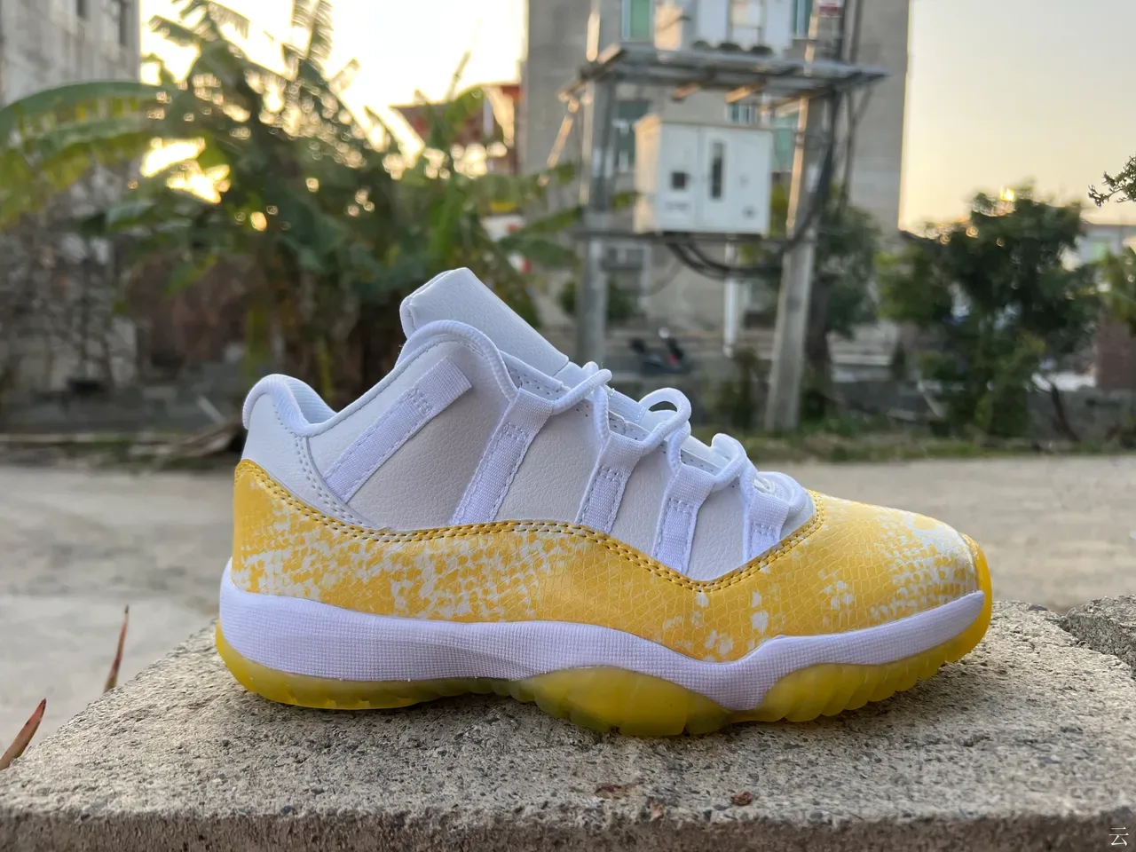 Air Jordan 11 Blanc Jaune Peau de Serpent Chaussures de Basket 2