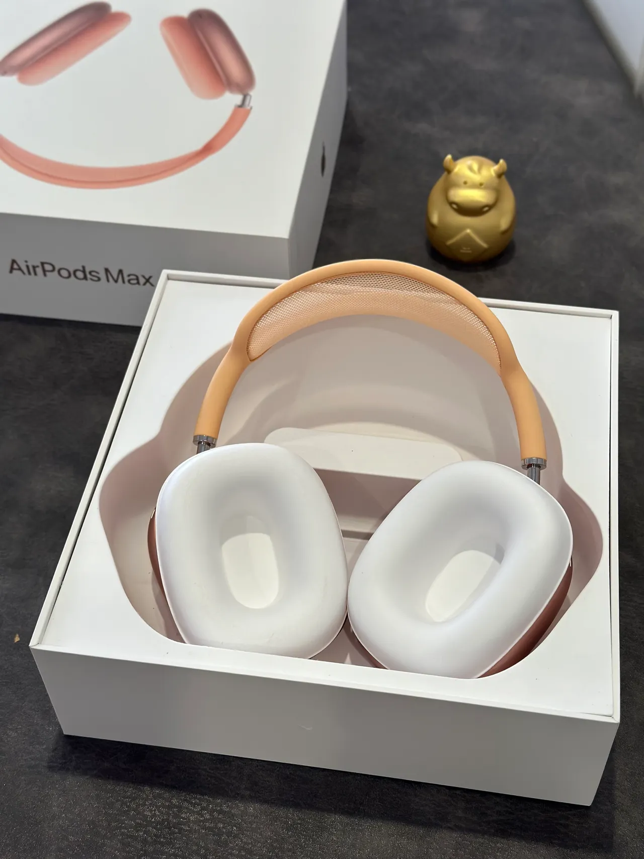 Apple AirPods Max Orange Beige Silicone-Covered Earcups Mesh Headband Over-ear Headphones 13