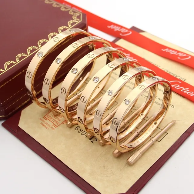 Cartier Love Bracelet 抛光金 刚性 椭圆螺丝图案手链 2