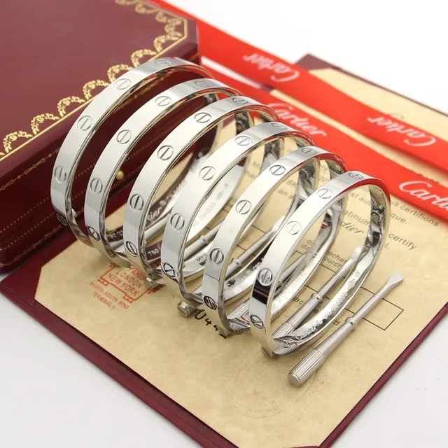 Cartier Love Bracelet 抛光金 刚性 椭圆螺丝图案手链 6