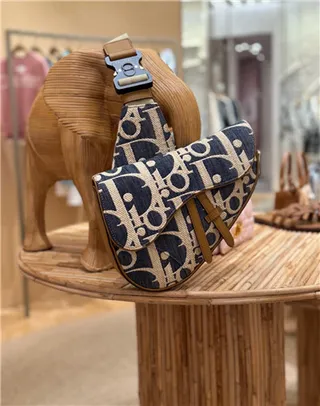 Dior Saddle Navy Beige Monogrammed Canvas Tan Leather Trim 马鞍包 12