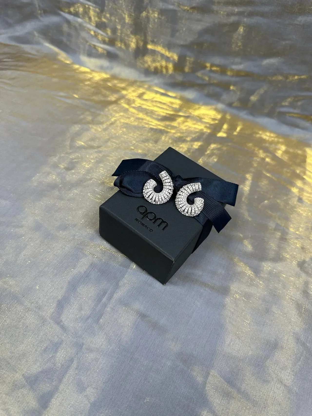 Silver Navy Coiled Pavé Hoop Textured Metallic Earrings 6