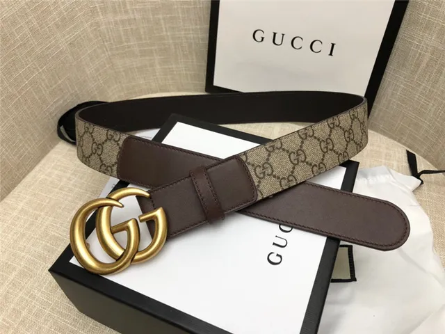 Gucci Horsebit 1955 حزام جلد كانفاس مونوغرام بني ذهبي interlocking GG buckle 20