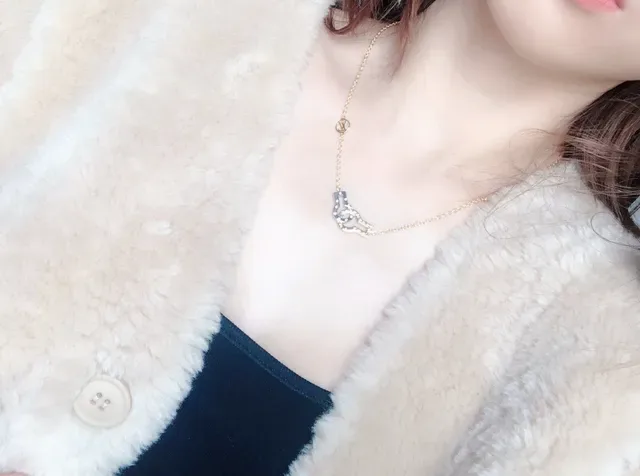 Louis Vuitton Lock & Key Dual-Tone Gold and Silver Necklace 8