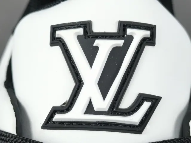 Louis Vuitton LV Trainer Black White Low-Top Layered Leather And Textured Overlays Lifestyle Sneakers 3