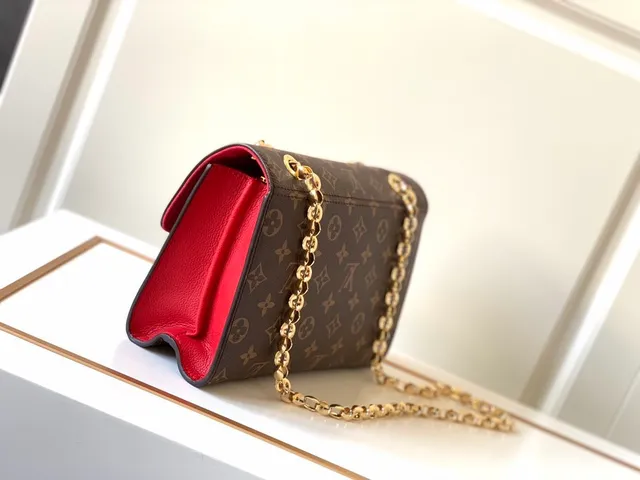 Louis Vuitton Monogram Canvas and Red Leather Chain Bag 5