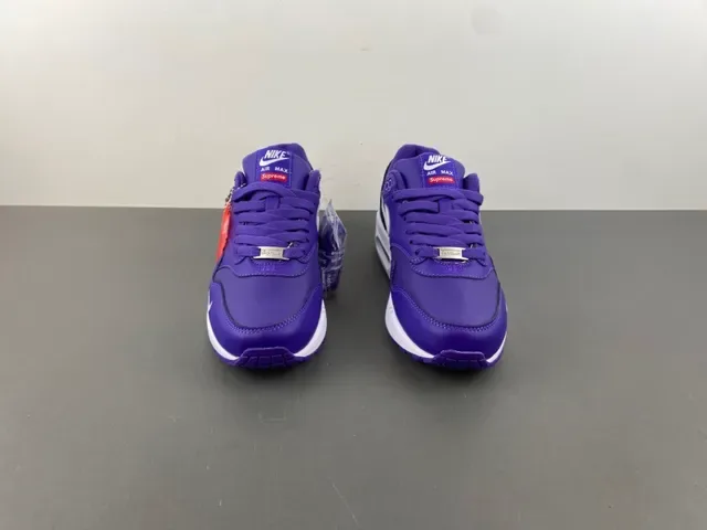 Nike Air Max 1 Purple and White Lifestyle Sneakers 11
