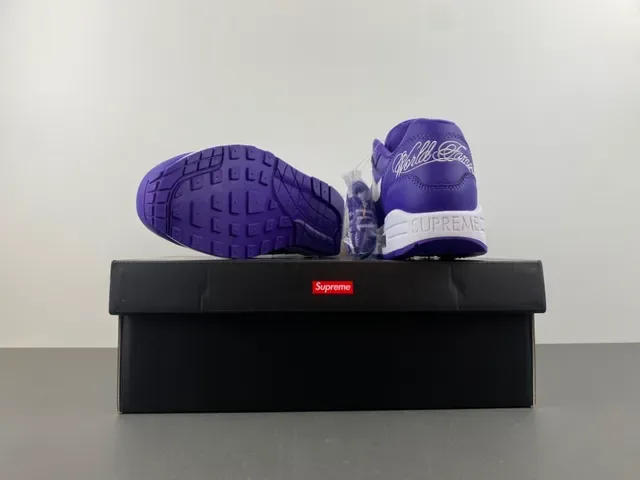Nike Air Max 1 Purple and White Lifestyle Sneakers 16