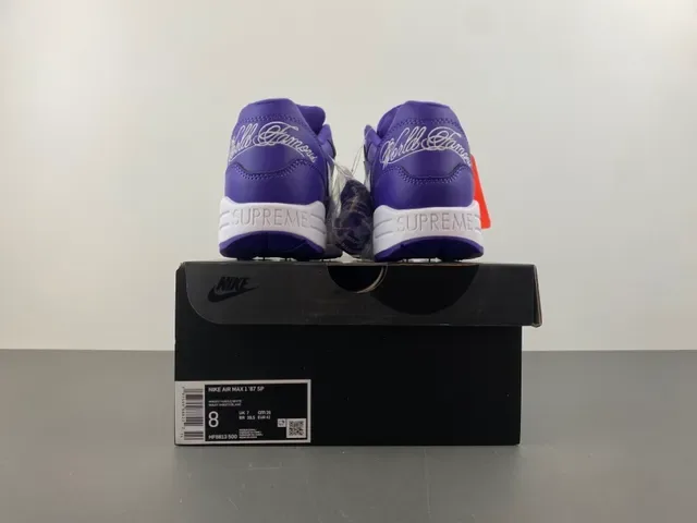Nike Air Max 1 Purple and White Lifestyle Sneakers 17