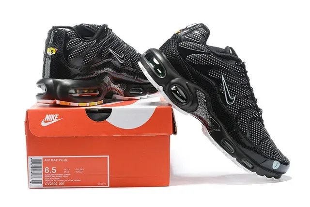Nike Air Max Plus Black and White Lifestyle Sneakers 2
