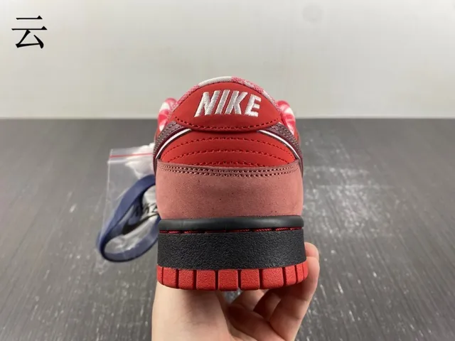 Nike SB Dunk Low Rouge Bordeaux Swoosh Chaussures de Skateboard 7