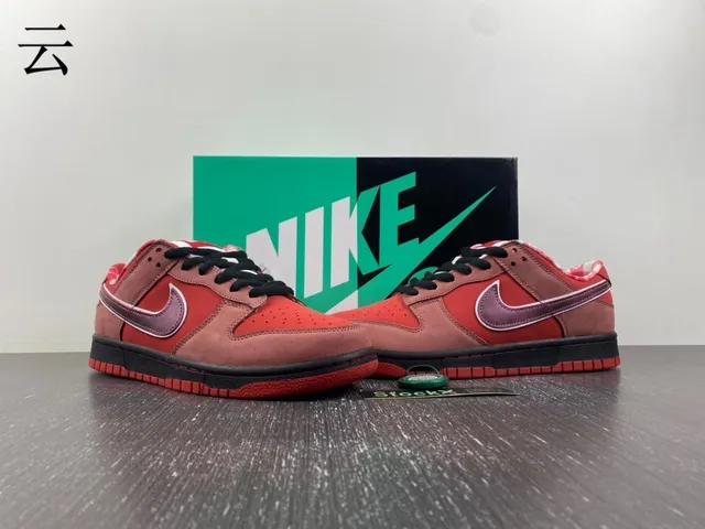 Nike SB Dunk Low Rouge Bordeaux Swoosh Chaussures de Skateboard 15