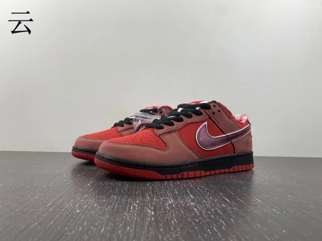 Nike SB Dunk Low Rouge Bordeaux Swoosh Chaussures de Skateboard 17