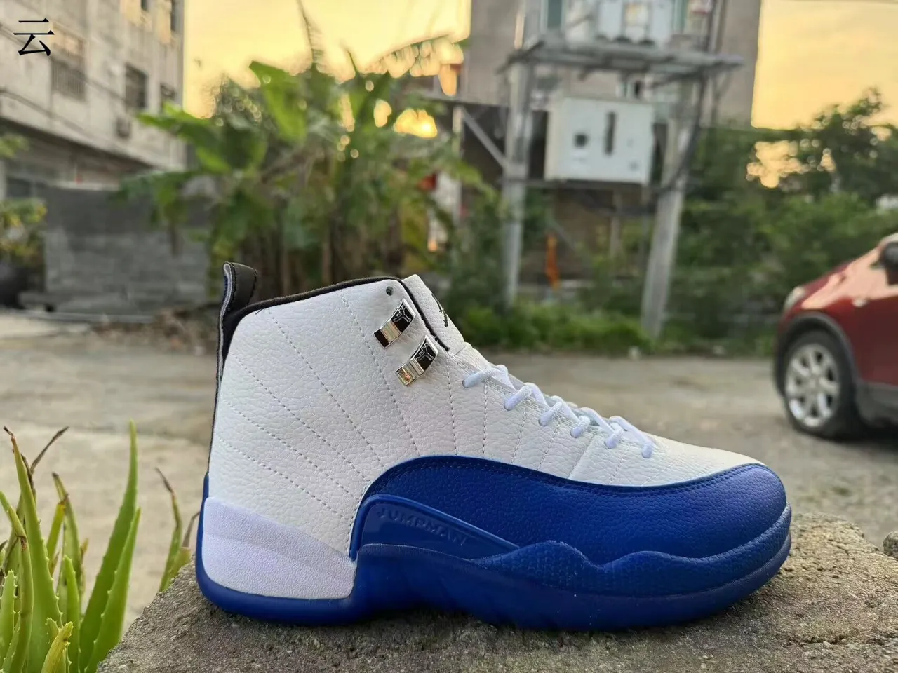Air Jordan 12 White Royal Blue Basketball Shoes 2