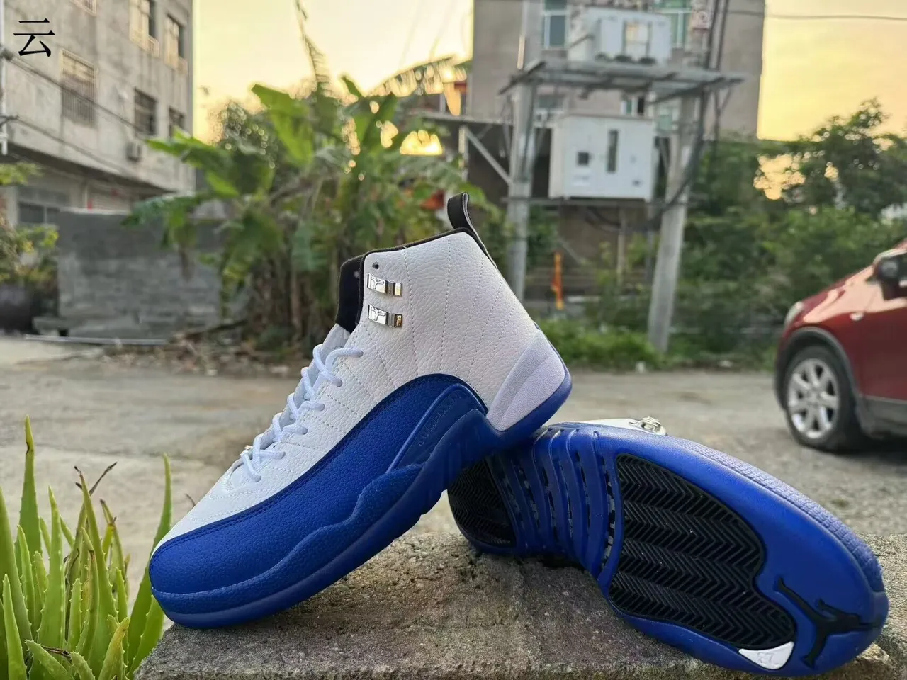 Air Jordan 12 White Royal Blue Basketball Shoes 3