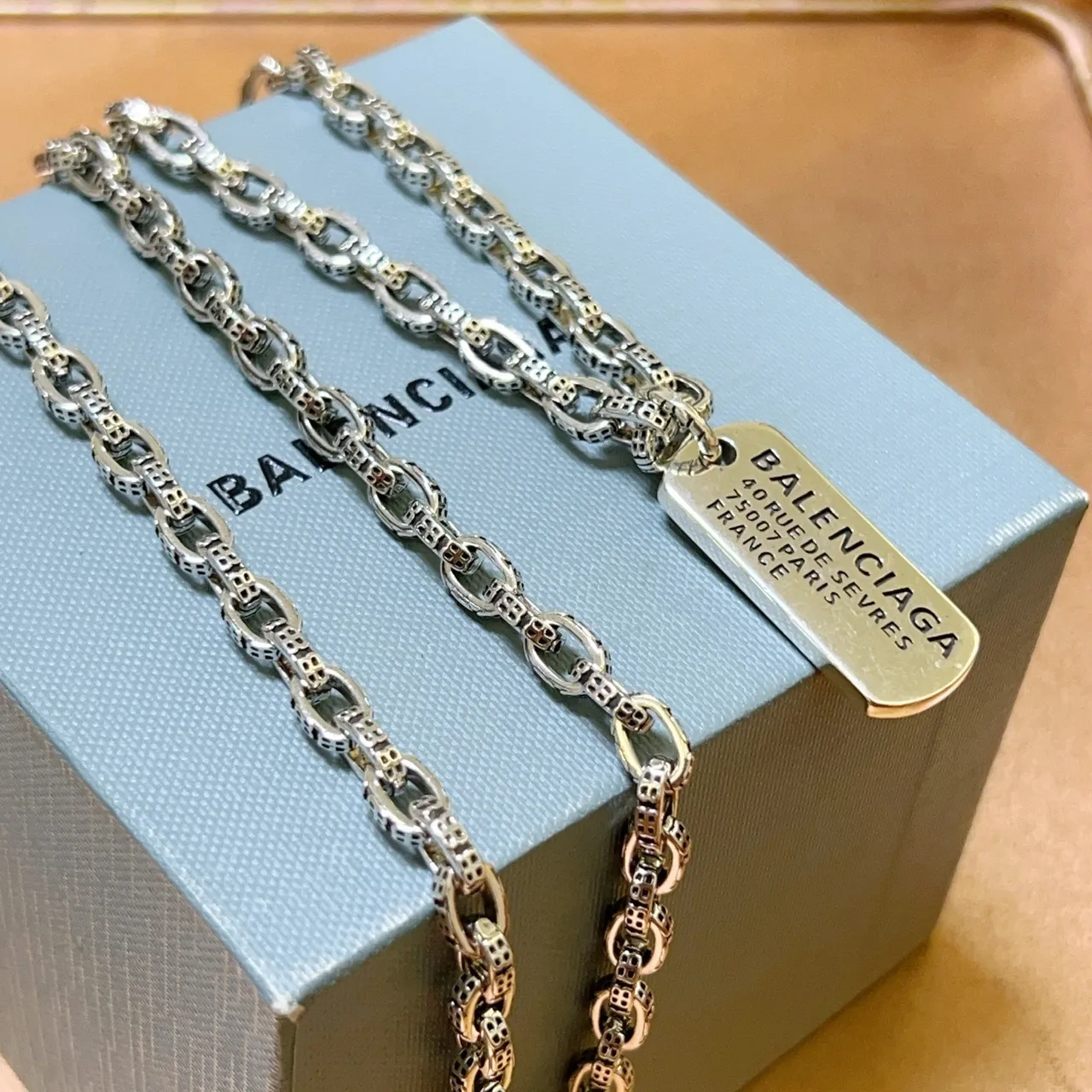 Balenciaga Dog Tag Silver Chain Necklace 8