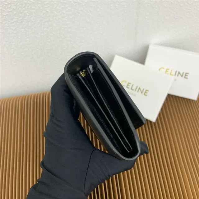 Celine Triomphe Brown Gold Smooth Leather Central Seam Long Wallet 23