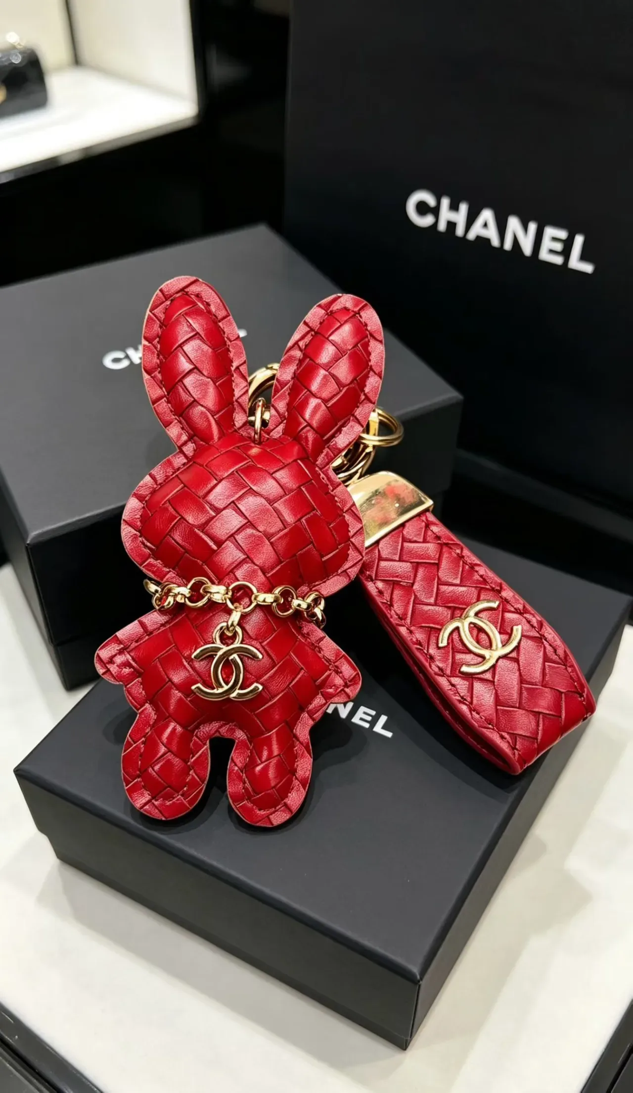 Chanel Rabbit Charm Multicolor Woven Leather Silhouette Handbag 5