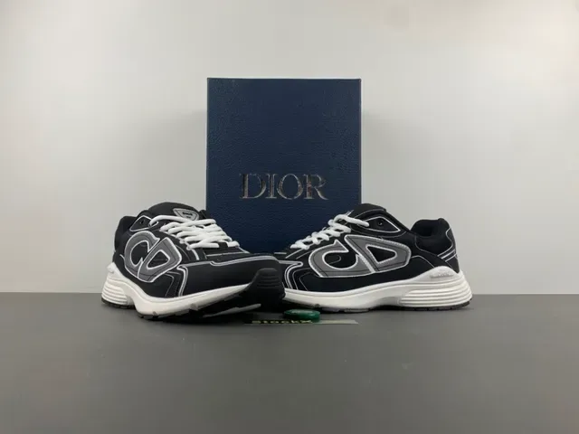 Dior B27 Black and White Lifestyle Sneakers 11
