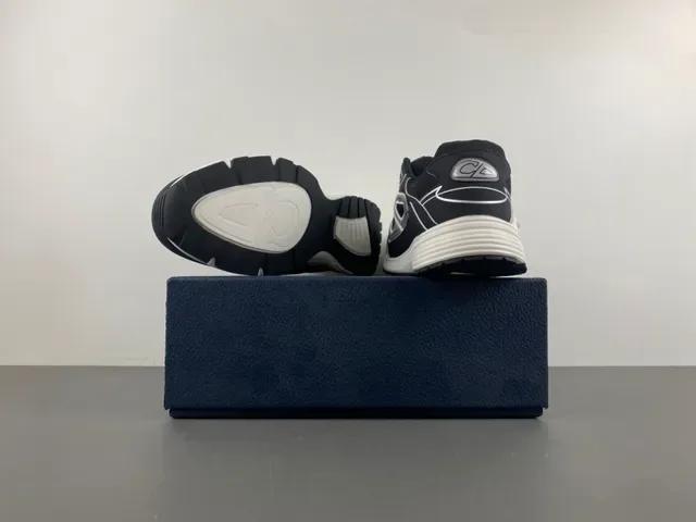 Dior B27 Black and White Lifestyle Sneakers 14