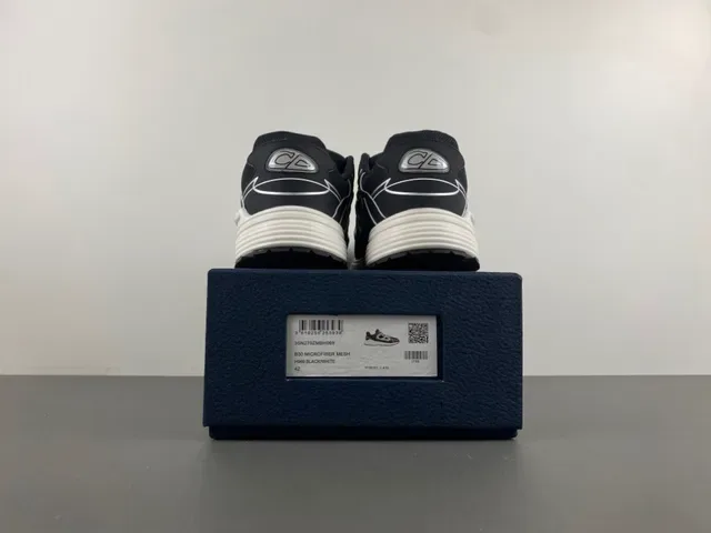 Dior B27 Black and White Lifestyle Sneakers 15