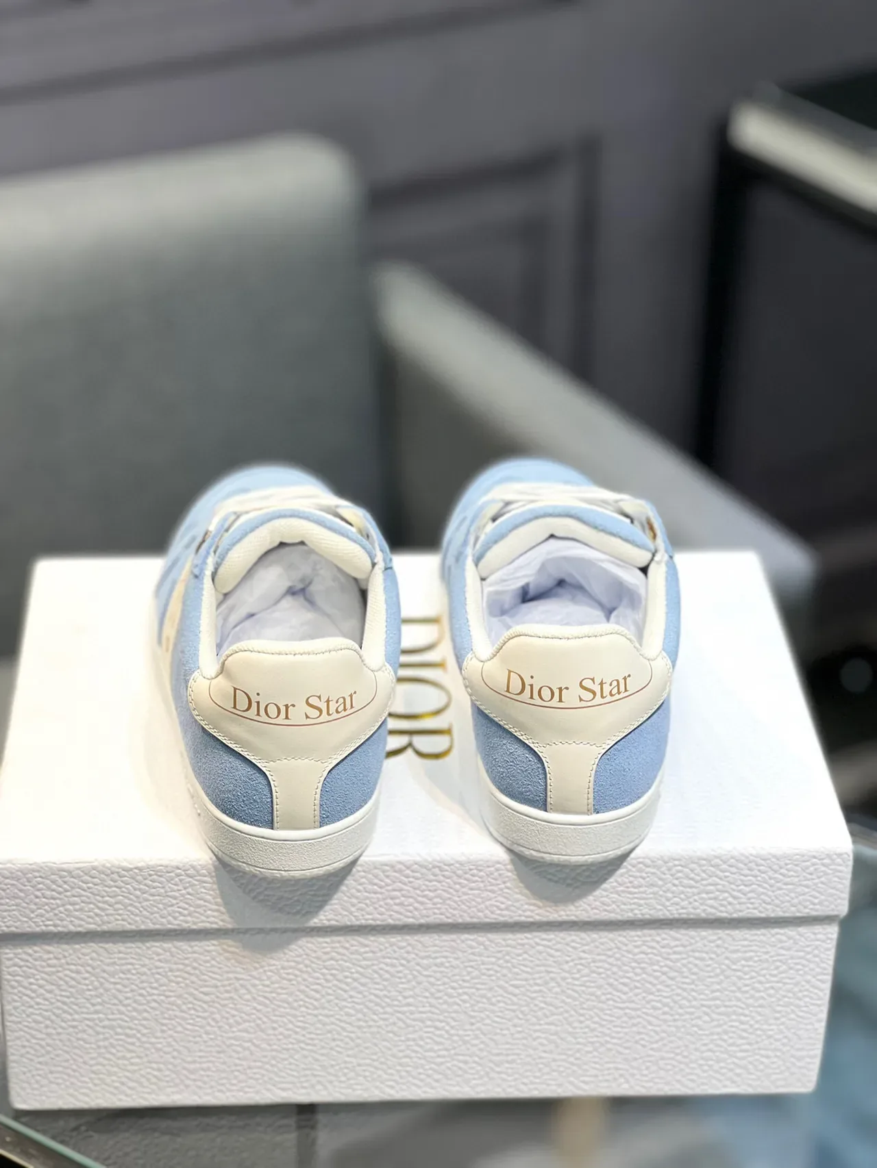 Dior B27 Sneakers lifestyle daim bleu clair motif étoile 7