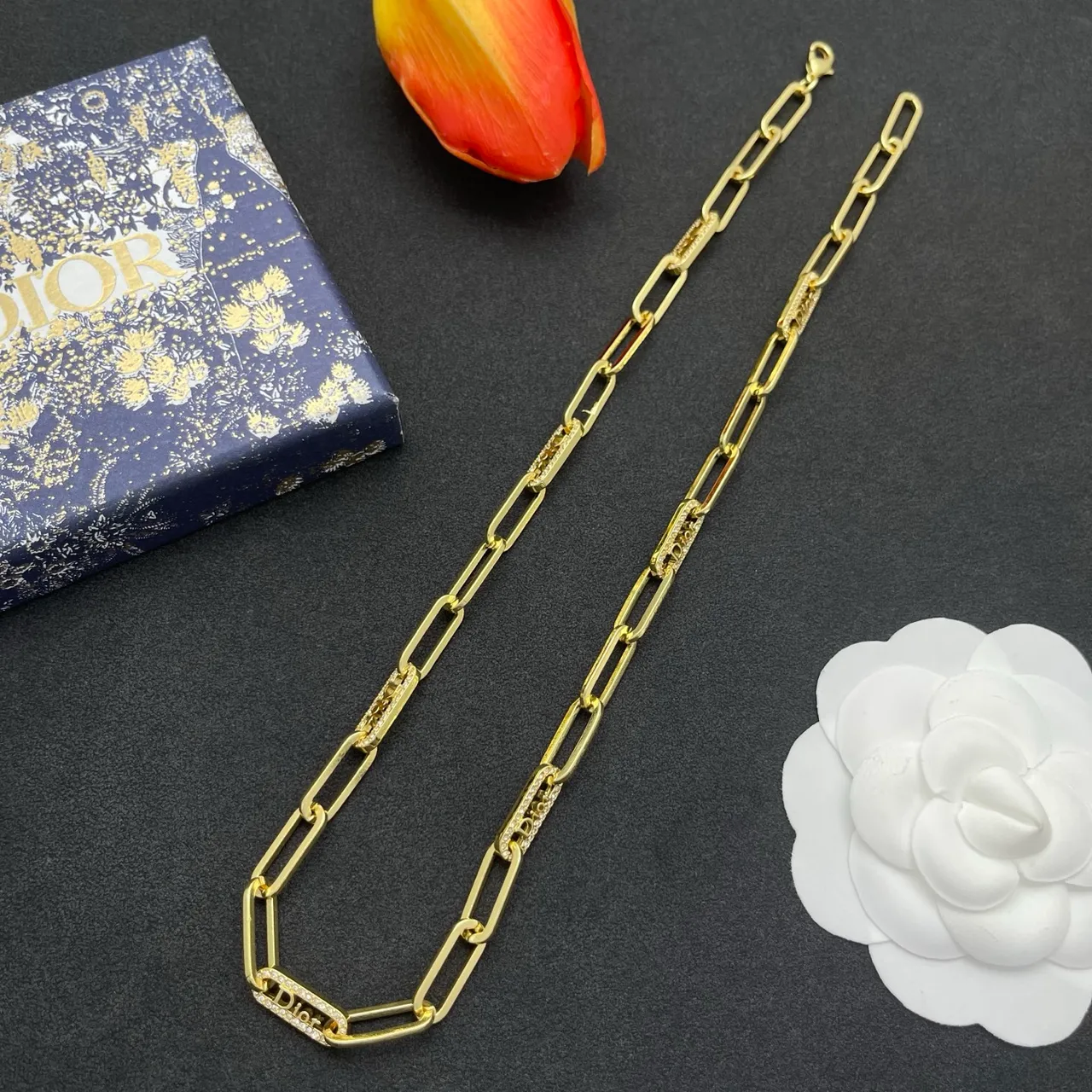 Dior Gold Paperclip Chain Diamond-Paved Branded Links Necklace 7