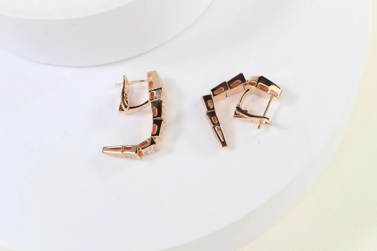 Asymmetrical Geometric Segmented Pavé and Open Metal Earrings 4
