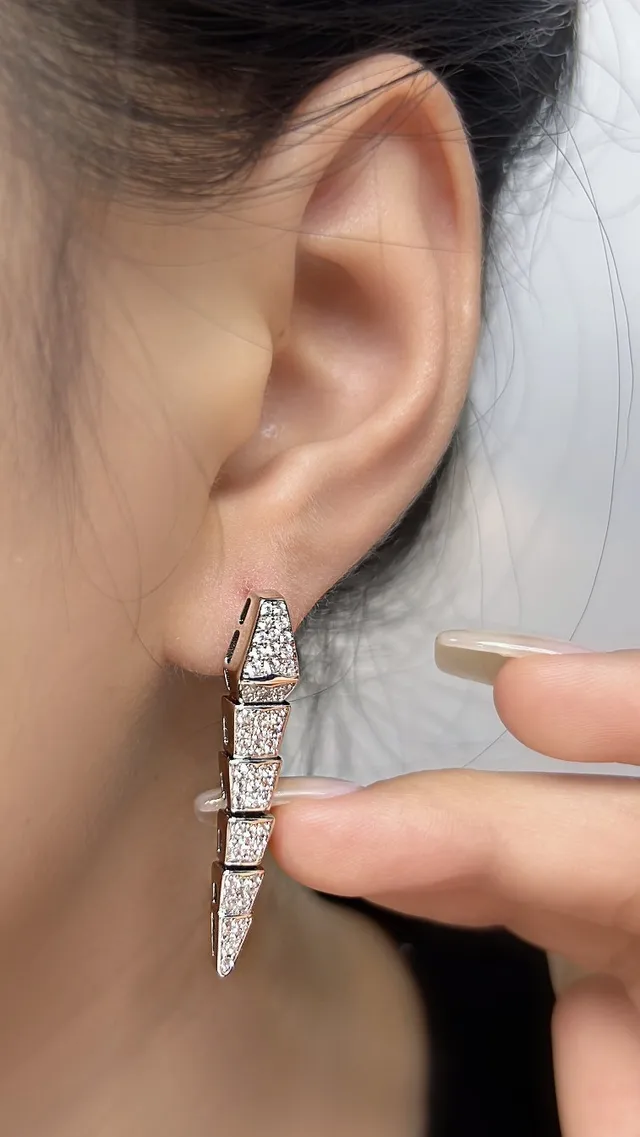 Asymmetrical Geometric Segmented Pavé and Open Metal Earrings 7
