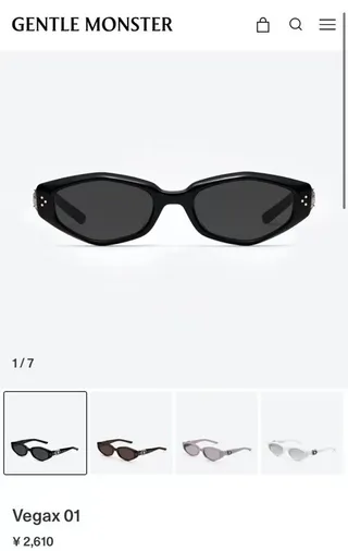 Black Silver Small Oval Frame Ornate Metal Temples Sunglasses 2