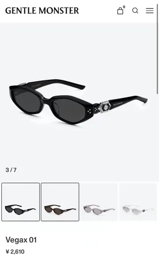 Black Silver Small Oval Frame Ornate Metal Temples Sunglasses 3