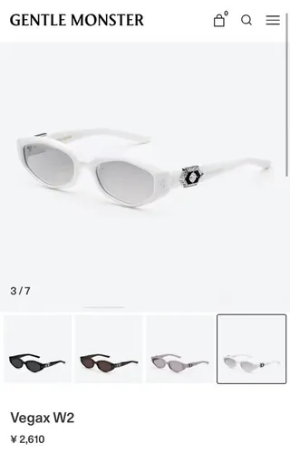 Black Silver Small Oval Frame Ornate Metal Temples Sunglasses 4