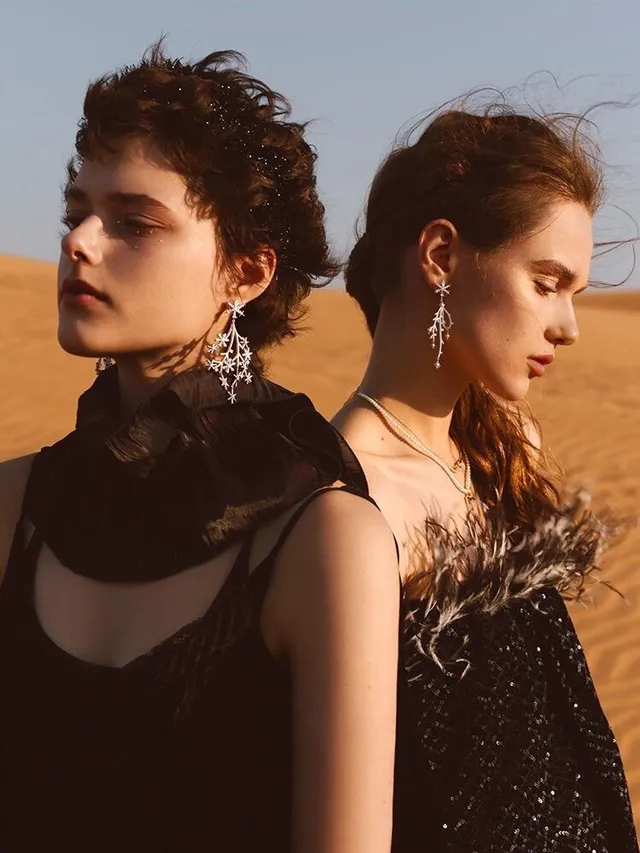 HEFANG Crystal Star Branch Dangling Earrings 2