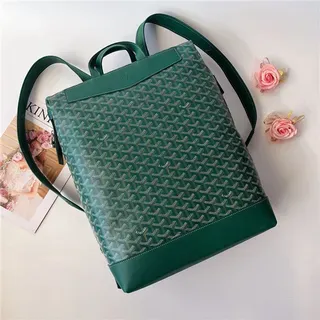 Goyard Green Structured Coated Canvas Chevron Monogram Pattern Casual Backpack