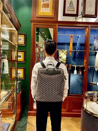 Goyard Green Structured Coated Canvas Chevron Monogram Pattern Casual Backpack 20