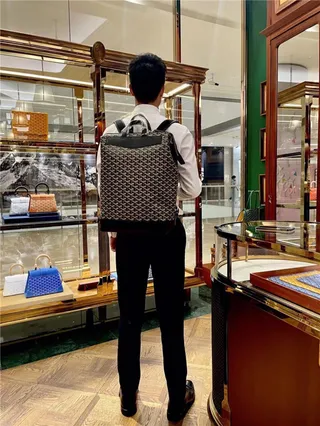 Goyard Green Structured Coated Canvas Chevron Monogram Pattern Casual Backpack 21