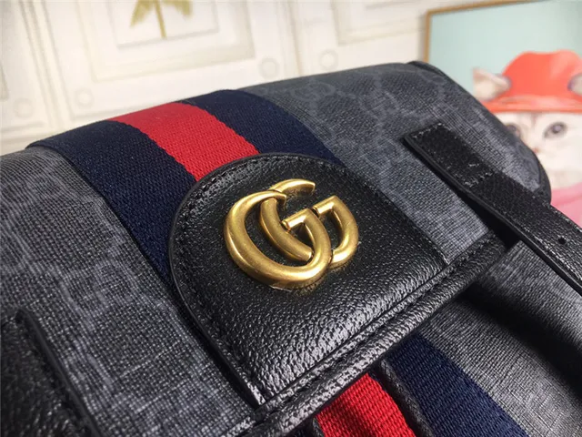 Gucci Ophidia GG Monogram Canvas Web Stripe Casual Backpack 13