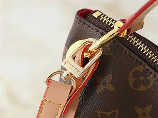 Louis Vuitton حقيبة يد بني وبيج مطبوعة شكل هوبو سلوجي 4