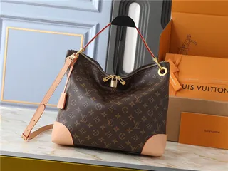 Louis Vuitton حقيبة يد بني وبيج مطبوعة شكل هوبو سلوجي 10