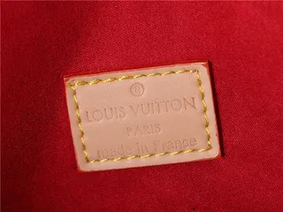 Louis Vuitton حقيبة يد بني وبيج مطبوعة شكل هوبو سلوجي 12