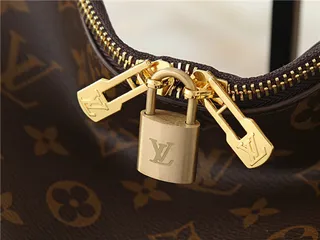 Louis Vuitton حقيبة يد بني وبيج مطبوعة شكل هوبو سلوجي 14