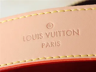 Louis Vuitton حقيبة يد بني وبيج مطبوعة شكل هوبو سلوجي 15