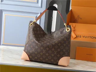 Louis Vuitton حقيبة يد بني وبيج مطبوعة شكل هوبو سلوجي 17