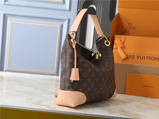 Louis Vuitton حقيبة يد بني وبيج مطبوعة شكل هوبو سلوجي 18