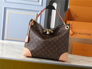 Louis Vuitton حقيبة يد بني وبيج مطبوعة شكل هوبو سلوجي 19