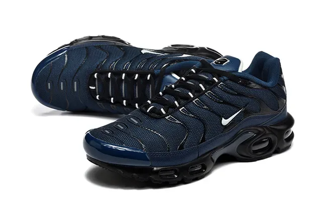 Nike Air Max Plus Brown Silver Maroon Lifestyle Sneakers 10